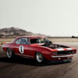 Meet your Posher, Terry